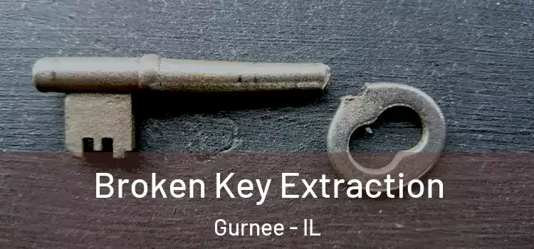  Broken Key Extraction Gurnee - IL