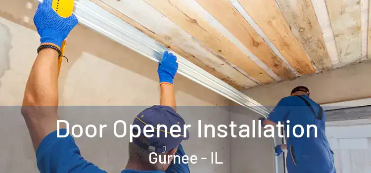  Door Opener Installation Gurnee - IL