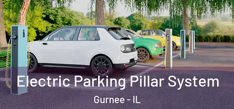  Electric Parking Pillar System Gurnee - IL