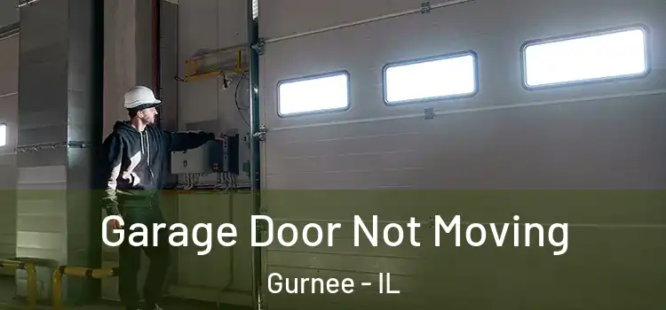  Garage Door Not Moving Gurnee - IL