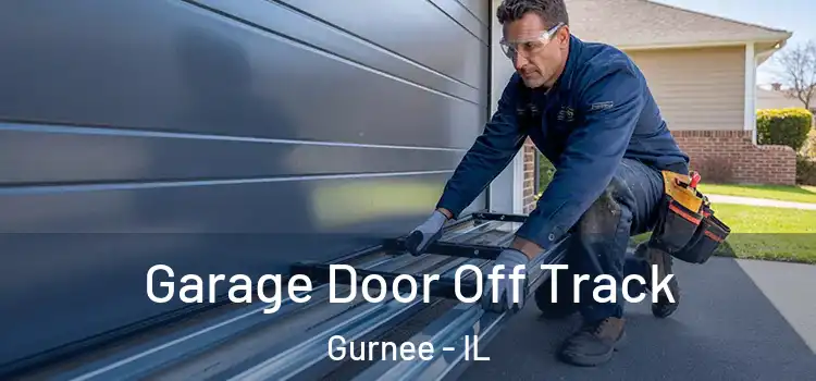  Garage Door Off Track Gurnee - IL
