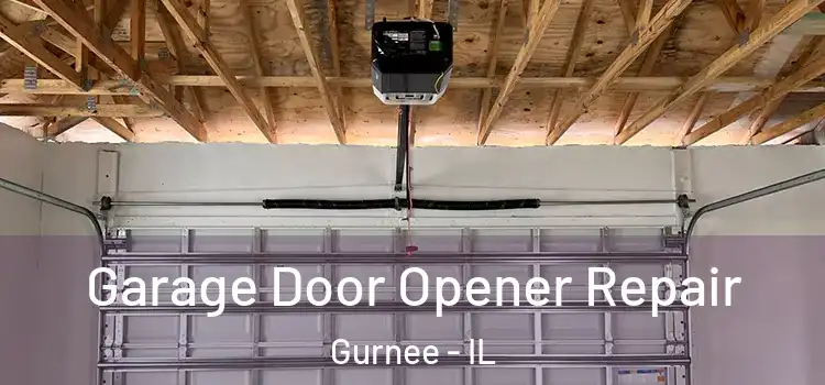  Garage Door Opener Repair Gurnee - IL