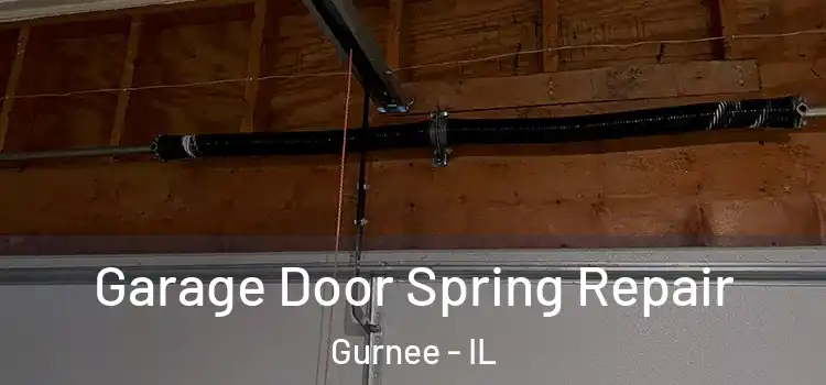  Garage Door Spring Repair Gurnee - IL