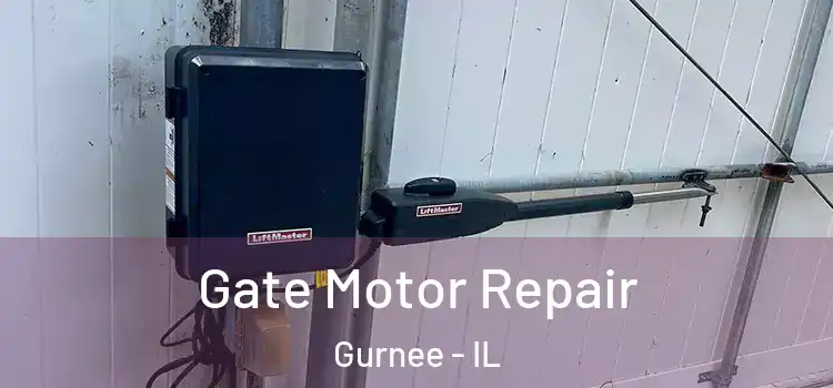  Gate Motor Repair Gurnee - IL