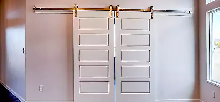Glass Barn Door with Installation Hardware Kit Gurnee