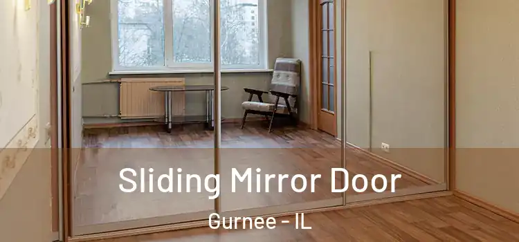  Sliding Mirror Door Gurnee - IL